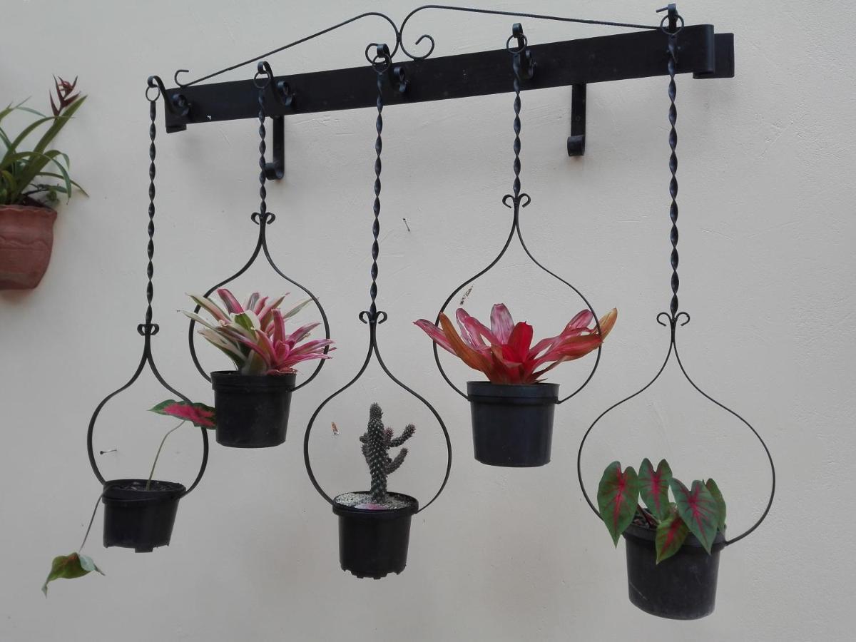 Mi Jardin Encantado Villa Eksteriør billede